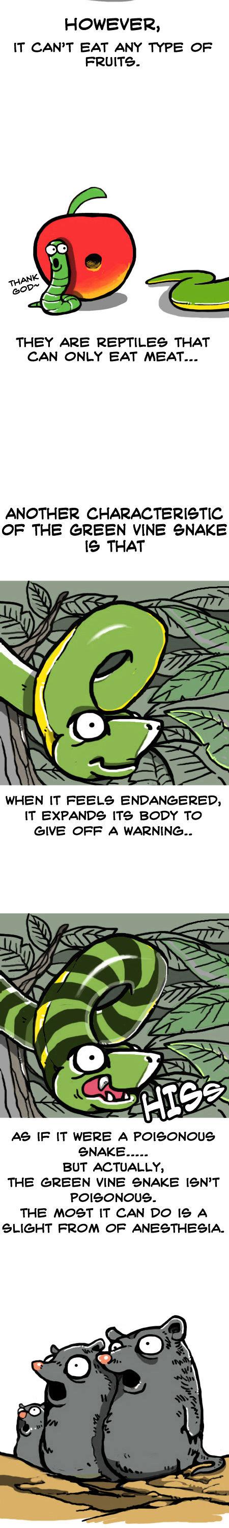 Earth, Human, and Animal Chapter 4 page 6 - Chapter 4 : the Green Vine Snake's Skin