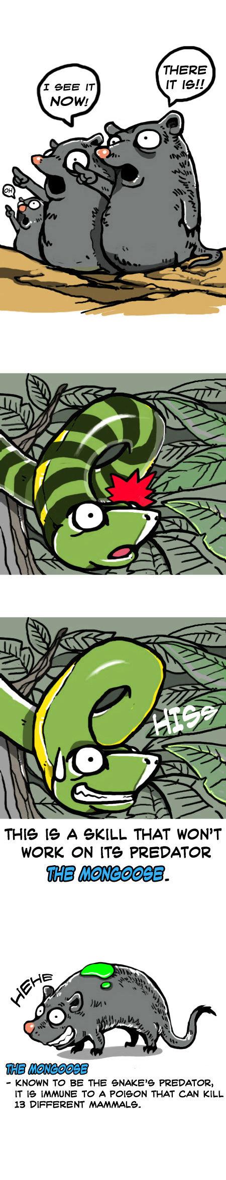 Earth, Human, and Animal Chapter 4 page 7 - Chapter 4 : the Green Vine Snake's Skin