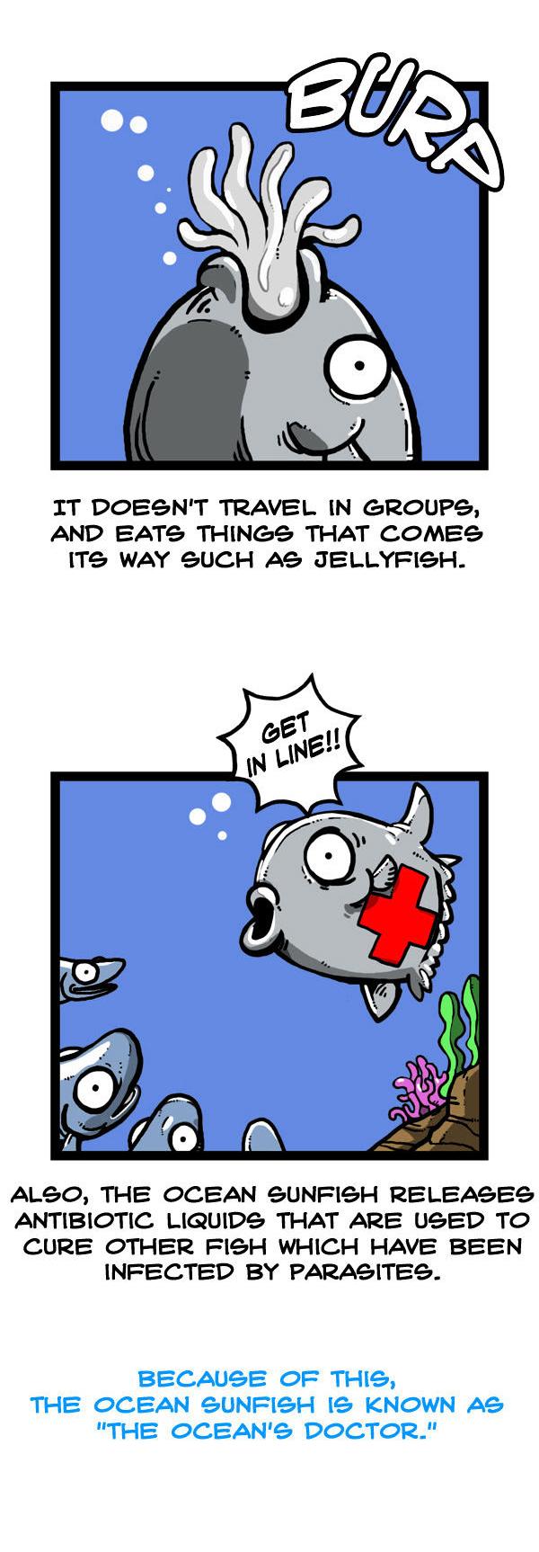 Earth, Human, and Animal Chapter 45 page 5 - Chapter 45 : EHA minitoon #14