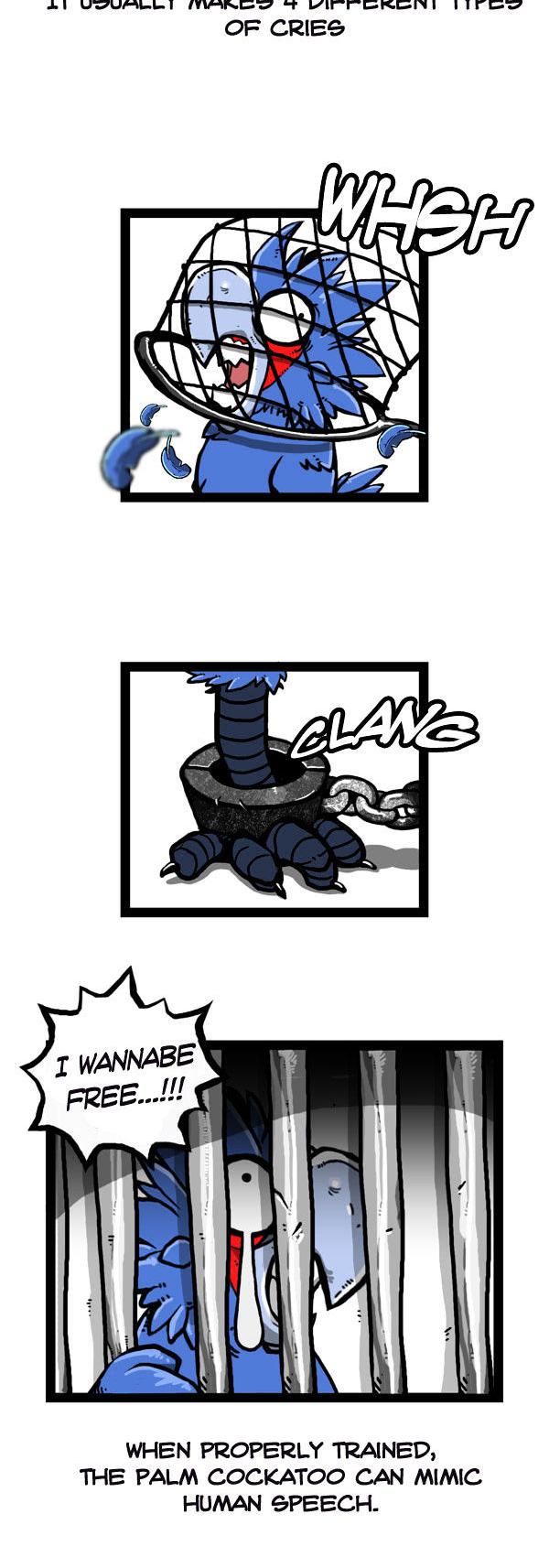 Earth, Human, and Animal Chapter 47 page 16 - Chapter 47 : the Growth of the Palm Cocktoo
