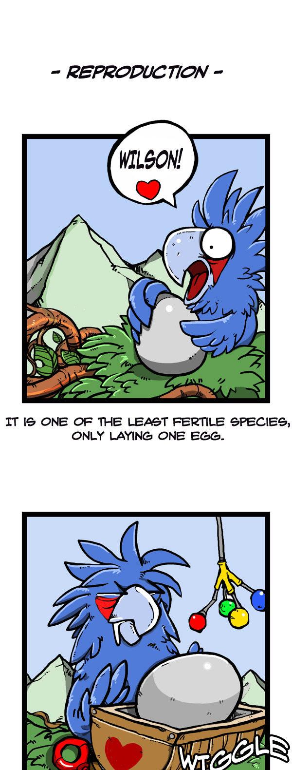 Earth, Human, and Animal Chapter 47 page 17 - Chapter 47 : the Growth of the Palm Cocktoo