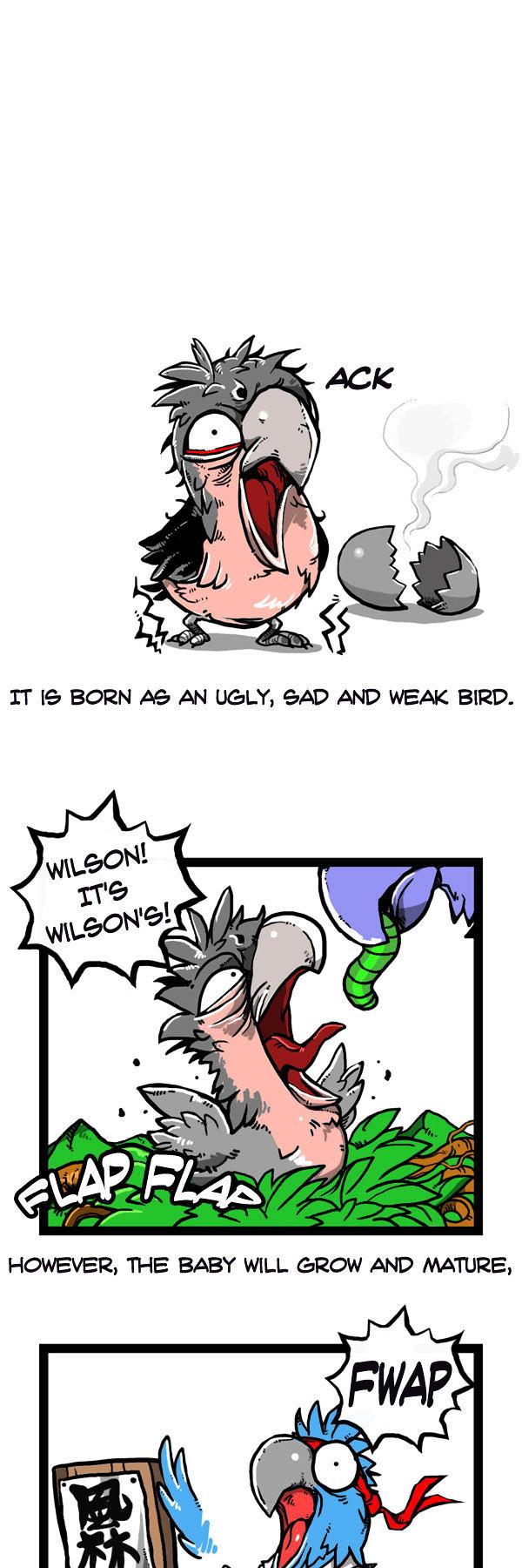 Earth, Human, and Animal Chapter 47 page 19 - Chapter 47 : the Growth of the Palm Cocktoo