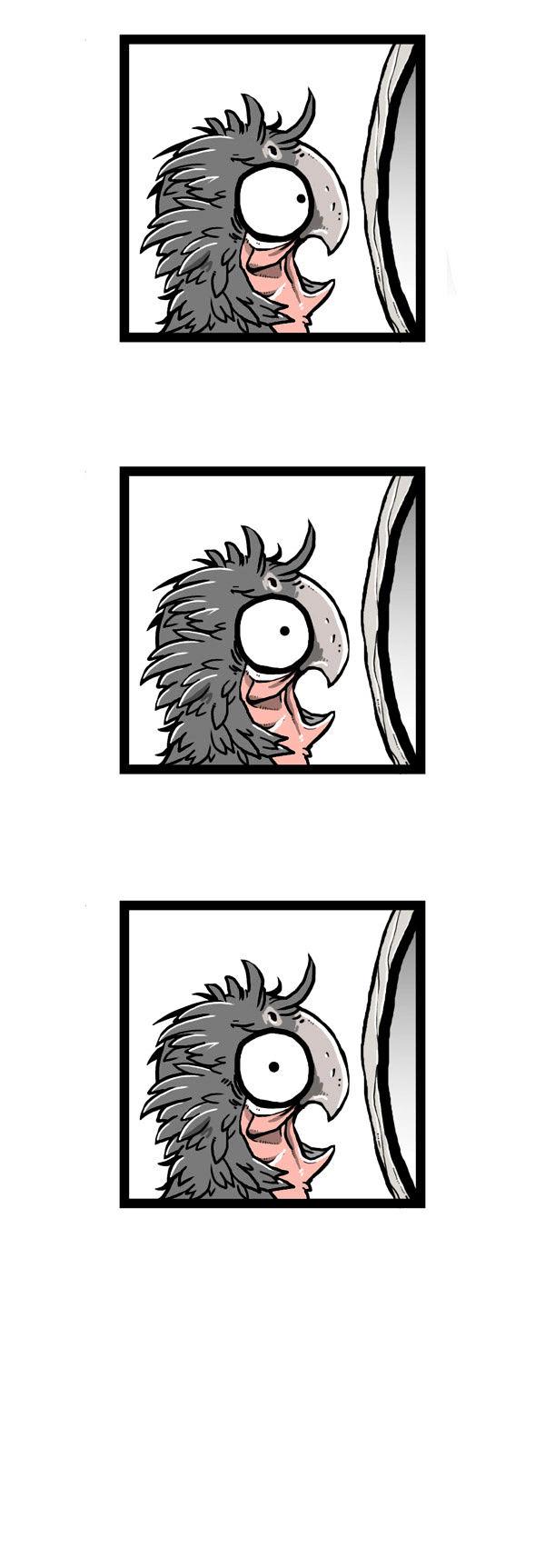 Earth, Human, and Animal Chapter 47 page 3 - Chapter 47 : the Growth of the Palm Cocktoo