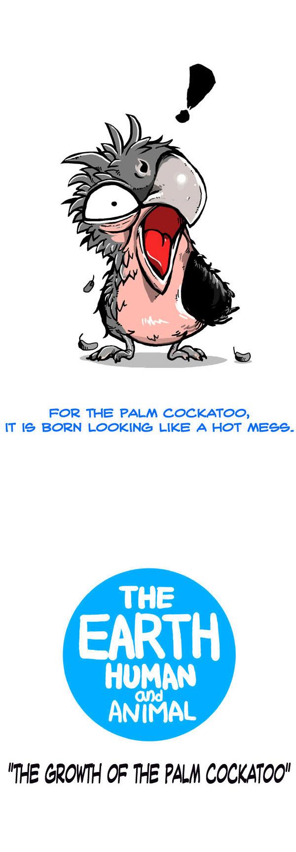 Earth, Human, and Animal Chapter 47 page 4 - Chapter 47 : the Growth of the Palm Cocktoo