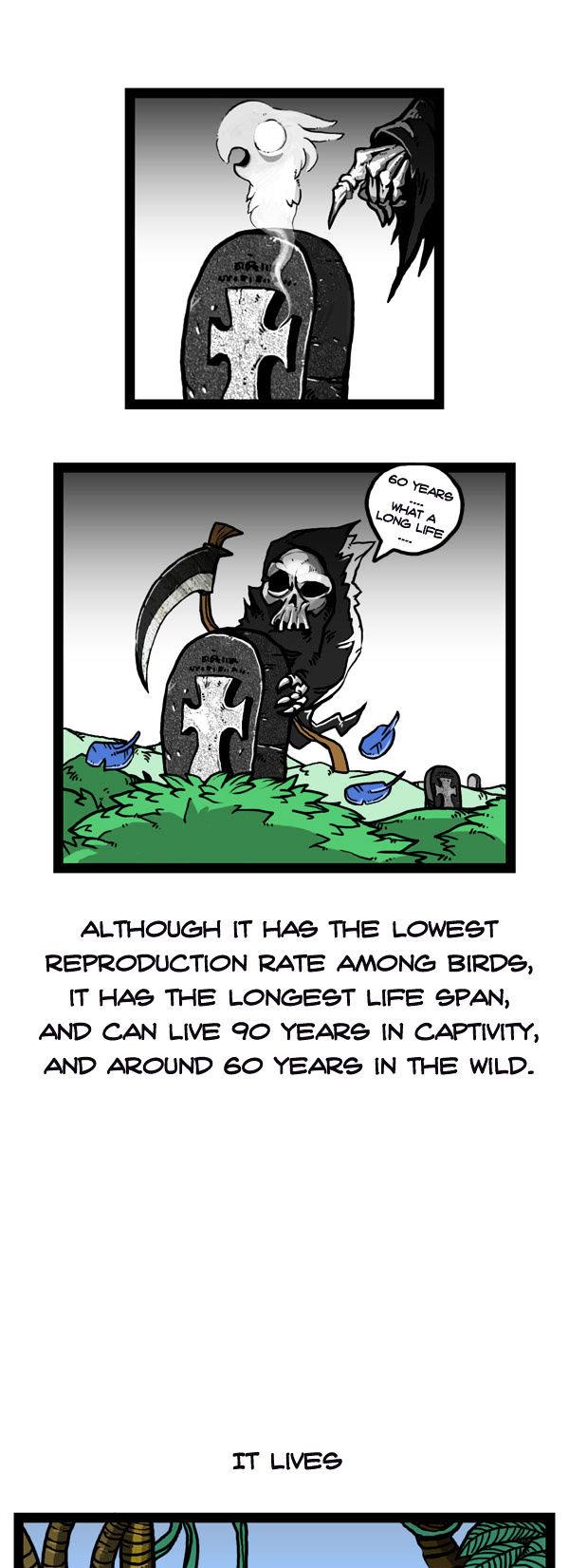 Earth, Human, and Animal Chapter 47 page 7 - Chapter 47 : the Growth of the Palm Cocktoo