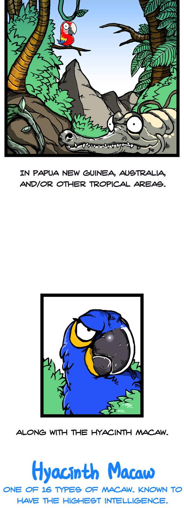 Earth, Human, and Animal Chapter 47 page 8 - Chapter 47 : the Growth of the Palm Cocktoo