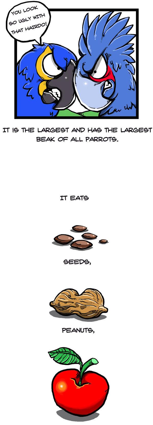 Earth, Human, and Animal Chapter 47 page 9 - Chapter 47 : the Growth of the Palm Cocktoo