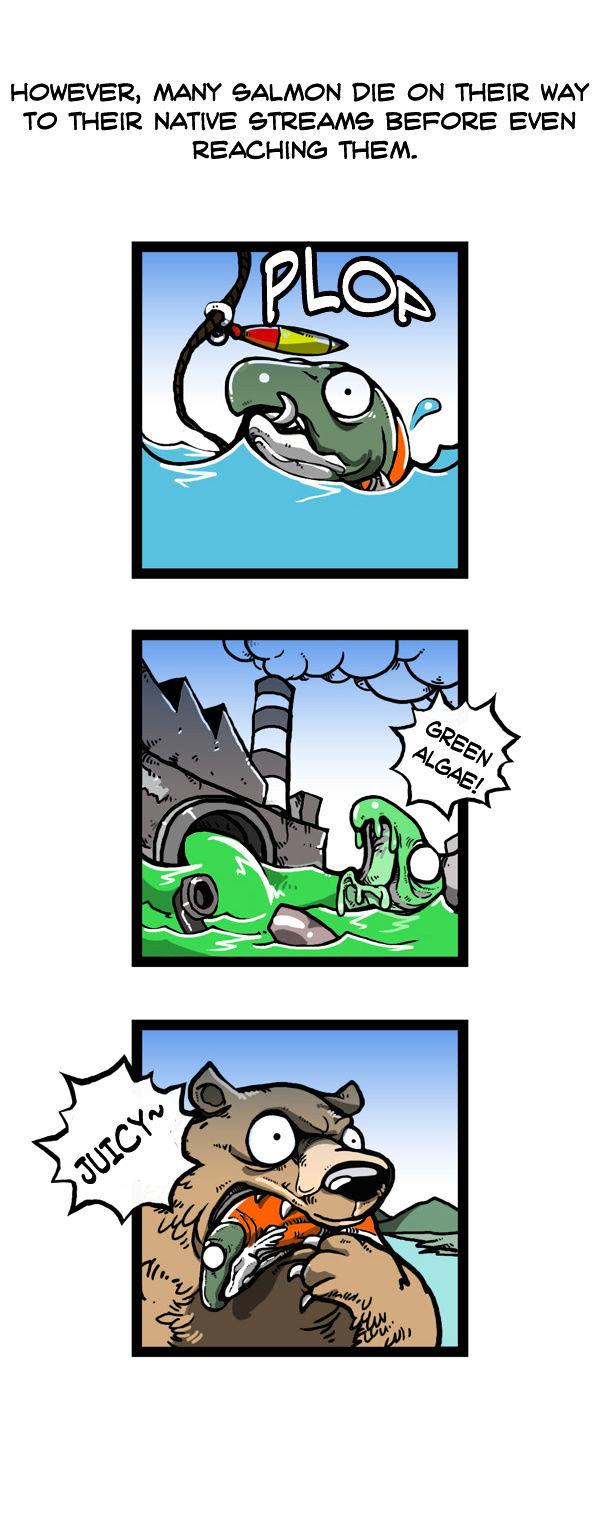 Earth, Human, and Animal Chapter 48 page 14 - Chapter 48 : the Sockeye Salmon's Goal