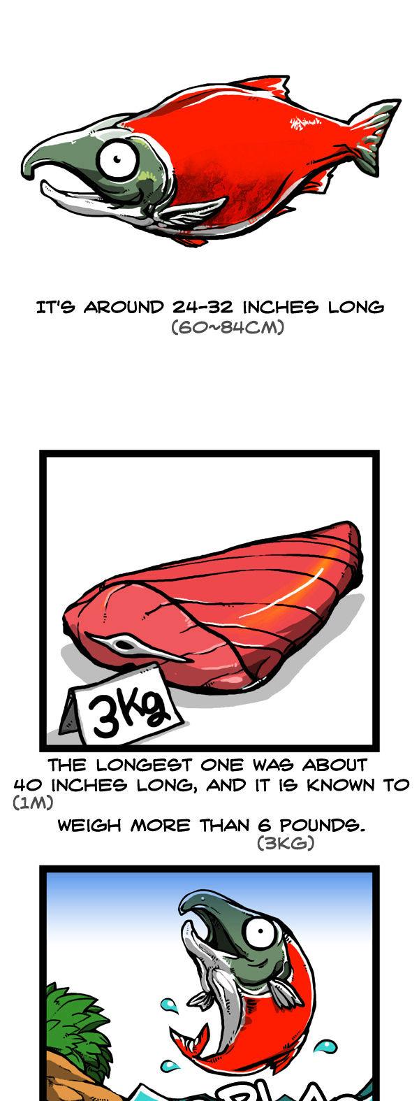 Earth, Human, and Animal Chapter 48 page 5 - Chapter 48 : the Sockeye Salmon's Goal