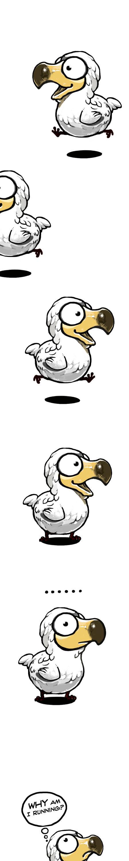Earth, Human, and Animal Chapter 5 page 1 - Chapter 5 : the Stupid Dodo Bird