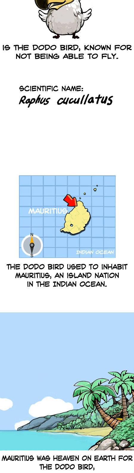 Earth, Human, and Animal Chapter 5 page 3 - Chapter 5 : the Stupid Dodo Bird