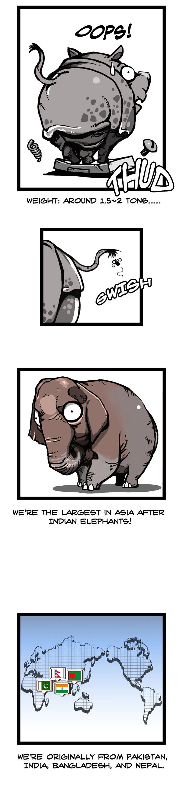 Earth, Human, and Animal Chapter 52 page 10 - Chapter 52 : the Indian Rhinoceros with No Horn