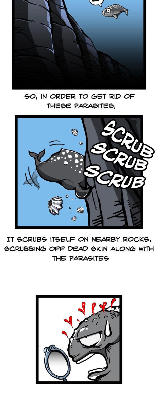 Earth, Human, and Animal Chapter 53 page 12 - Chapter 53 : the Unseen Ghost Whale