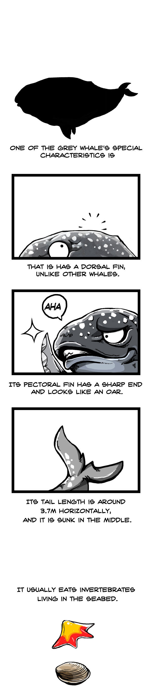 Earth, Human, and Animal Chapter 53 page 13 - Chapter 53 : the Unseen Ghost Whale