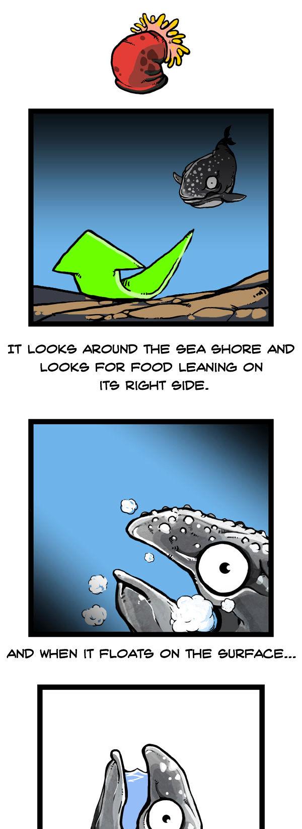 Earth, Human, and Animal Chapter 53 page 14 - Chapter 53 : the Unseen Ghost Whale