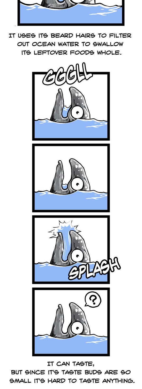 Earth, Human, and Animal Chapter 53 page 15 - Chapter 53 : the Unseen Ghost Whale