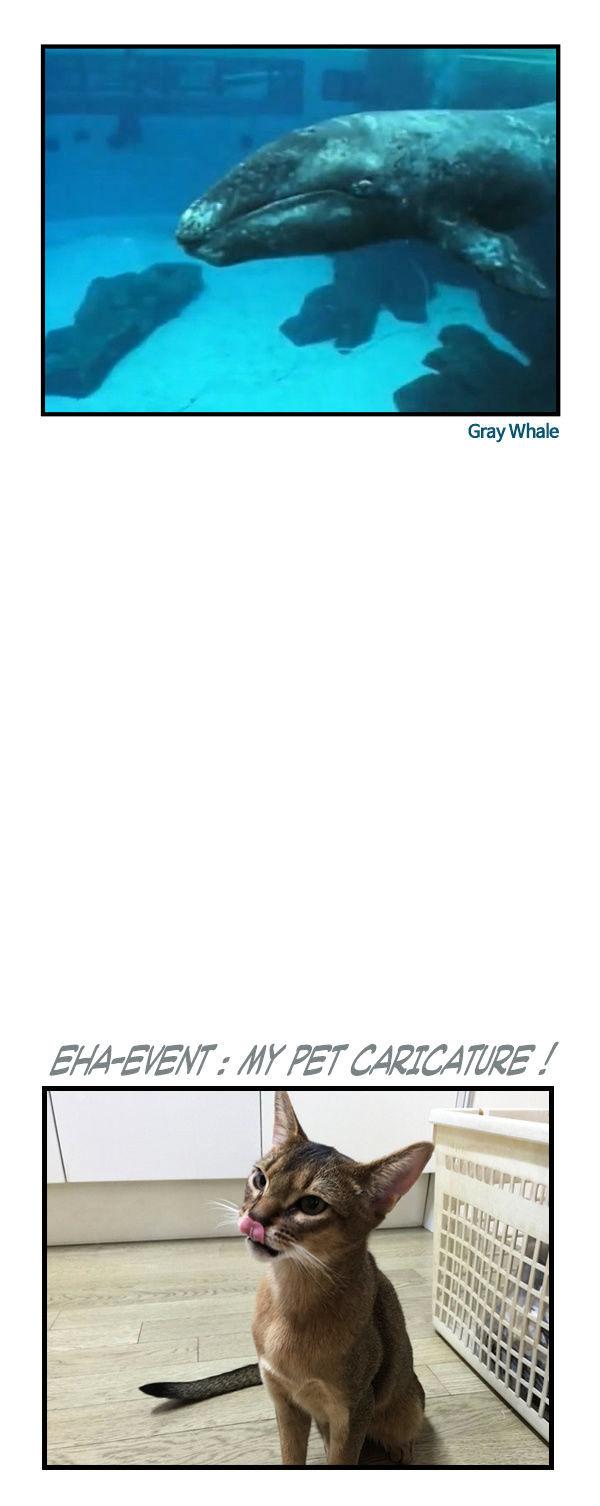 Earth, Human, and Animal Chapter 53 page 25 - Chapter 53 : the Unseen Ghost Whale