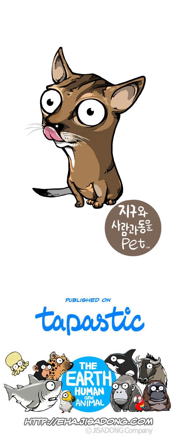 Earth, Human, and Animal Chapter 53 page 26 - Chapter 53 : the Unseen Ghost Whale