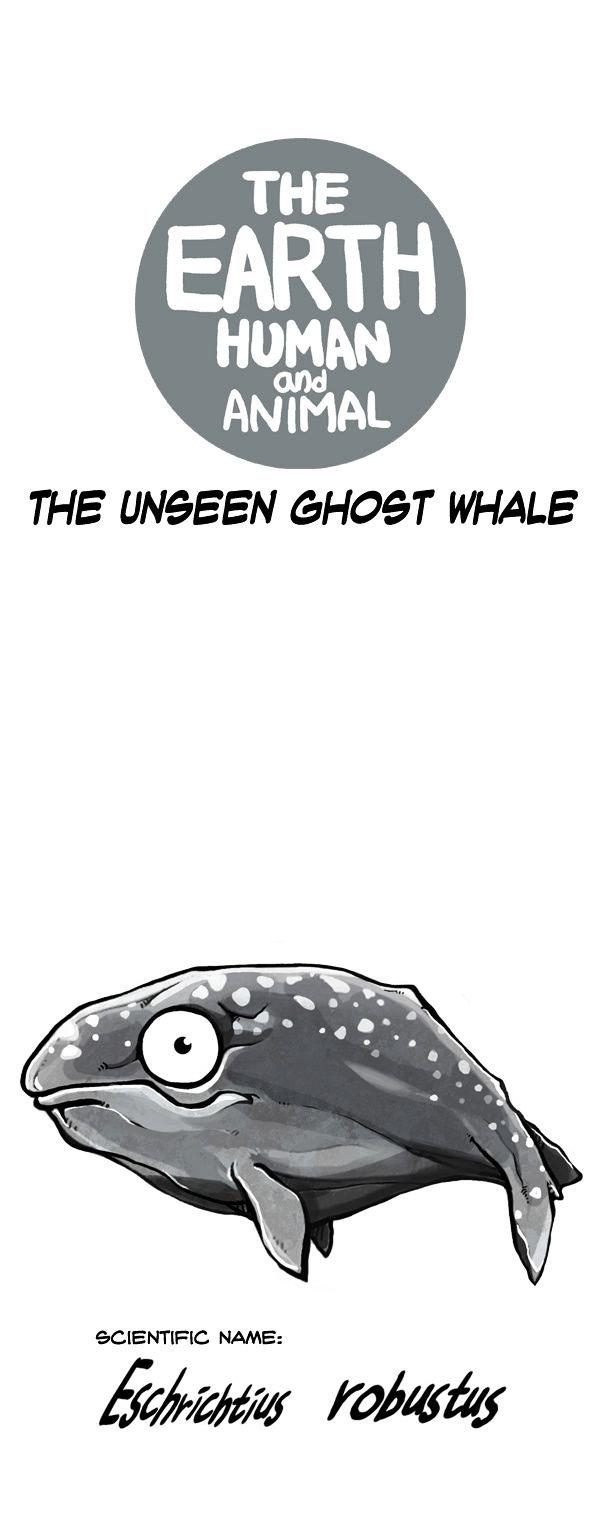 Earth, Human, and Animal Chapter 53 page 7 - Chapter 53 : the Unseen Ghost Whale