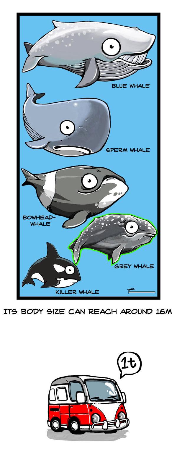Earth, Human, and Animal Chapter 53 page 8 - Chapter 53 : the Unseen Ghost Whale