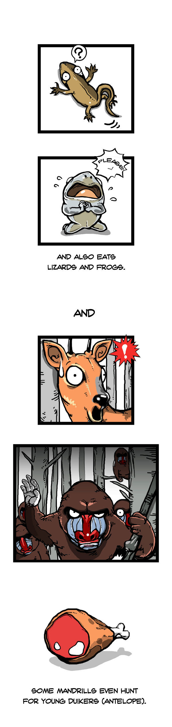 Earth, Human, and Animal Chapter 56 page 12 - Chapter 56 : the Mandrill's Appearance #1