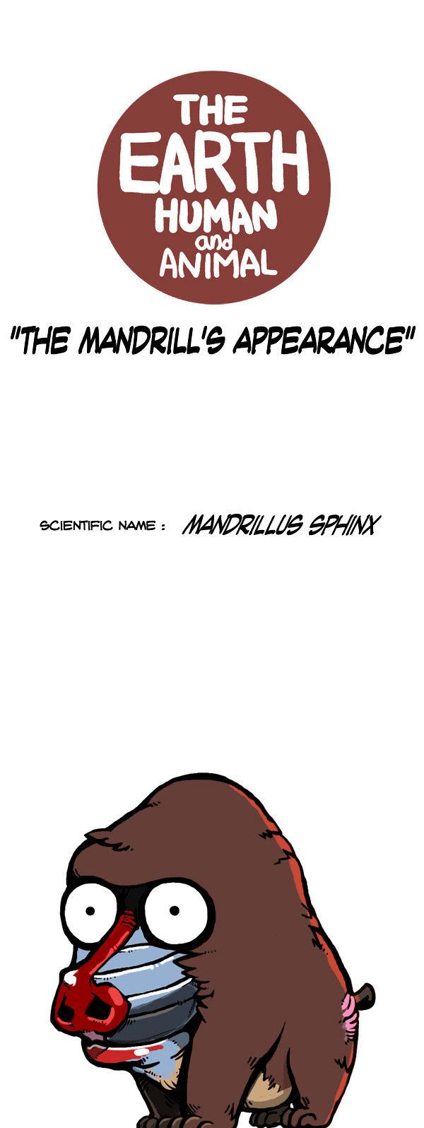 Earth, Human, and Animal Chapter 56 page 5 - Chapter 56 : the Mandrill's Appearance #1