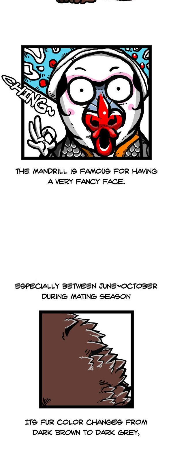 Earth, Human, and Animal Chapter 56 page 6 - Chapter 56 : the Mandrill's Appearance #1