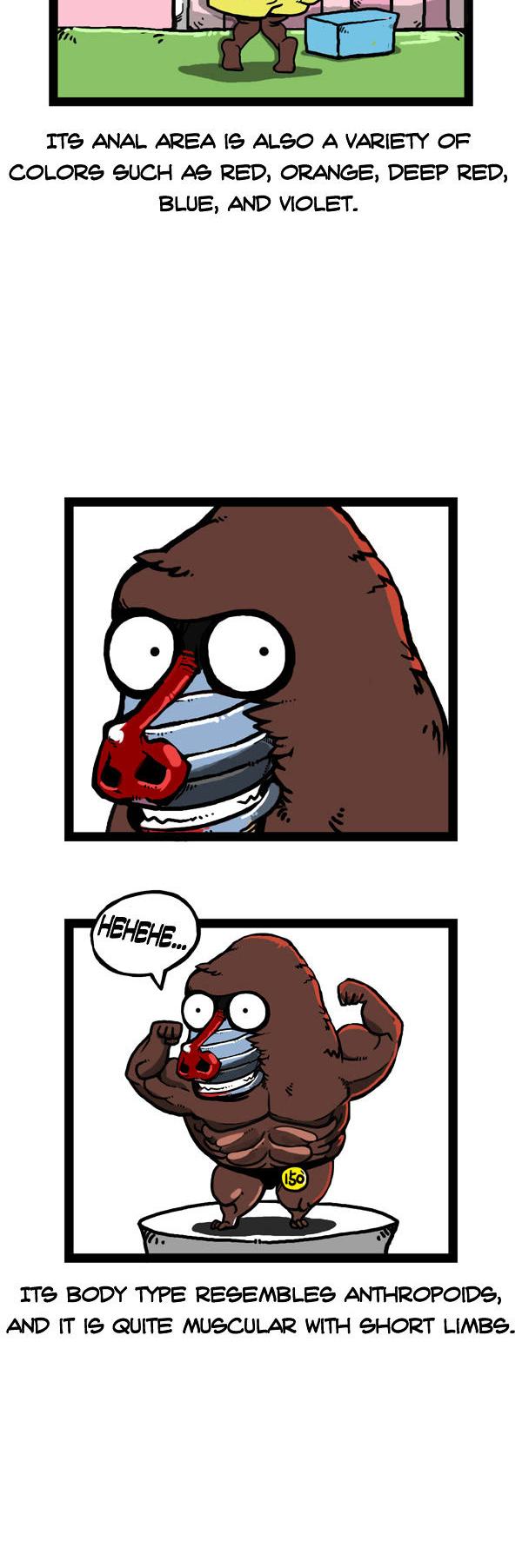 Earth, Human, and Animal Chapter 56 page 9 - Chapter 56 : the Mandrill's Appearance #1