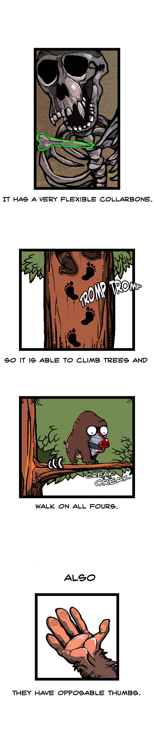 Earth, Human, and Animal Chapter 57 page 3 - Chapter 57 : the Mandrill's Appearance #2