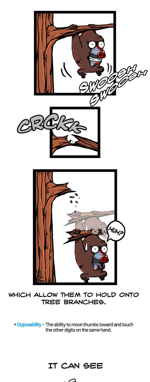 Earth, Human, and Animal Chapter 57 page 4 - Chapter 57 : the Mandrill's Appearance #2