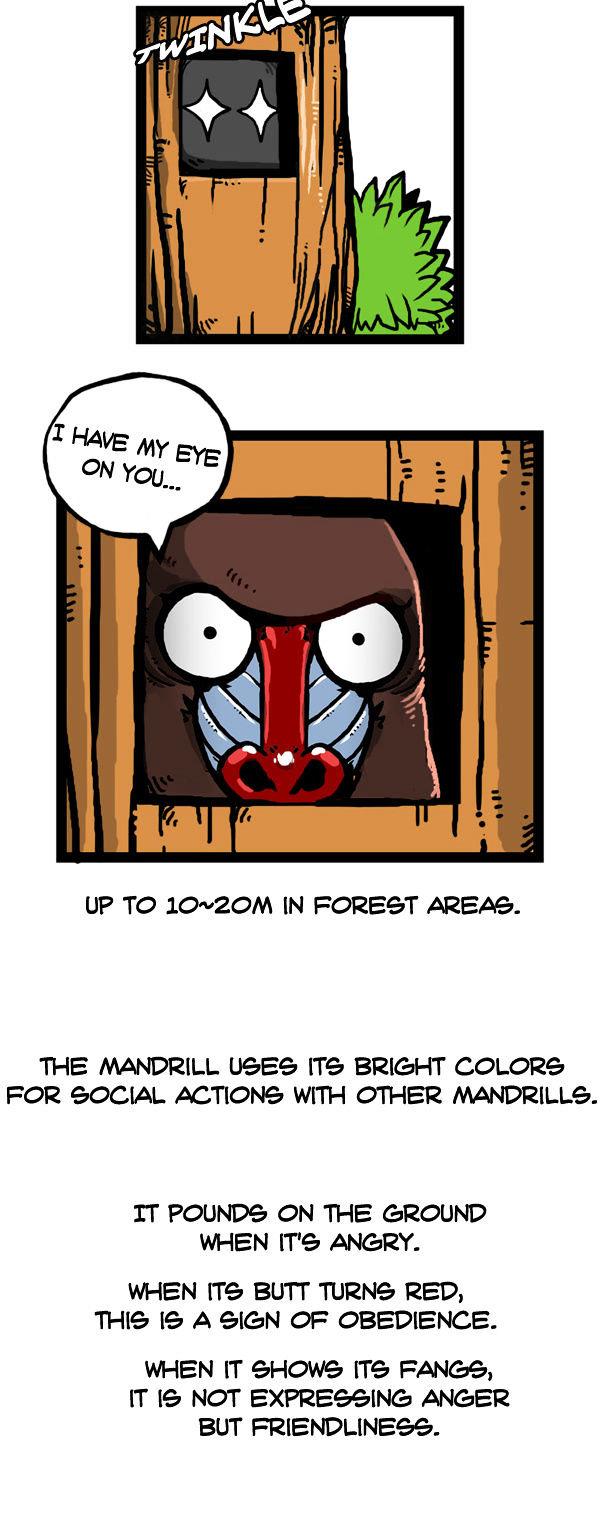Earth, Human, and Animal Chapter 57 page 5 - Chapter 57 : the Mandrill's Appearance #2