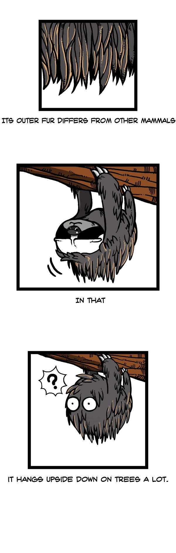 Earth, Human, and Animal Chapter 59 page 11 - Chapter 59 : the Brown-Throated Sloth's Crime #1