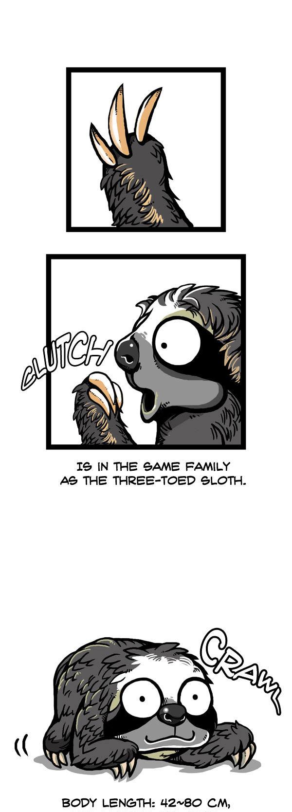 Earth, Human, and Animal Chapter 59 page 7 - Chapter 59 : the Brown-Throated Sloth's Crime #1