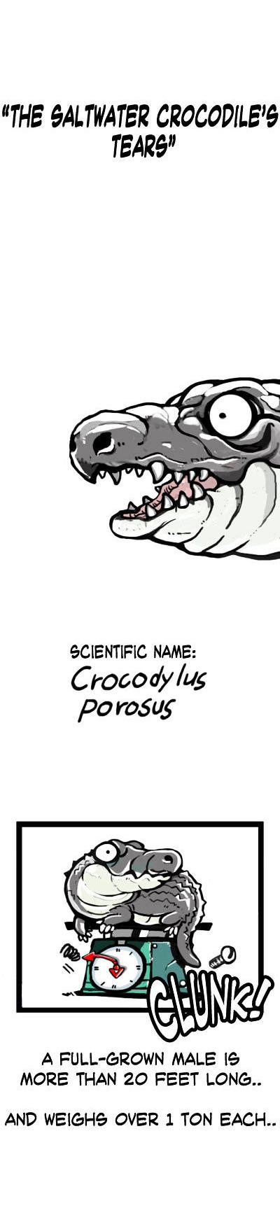 Earth, Human, and Animal Chapter 6 page 2 - Chapter 6 : the Saltwater Crocodile's Tears