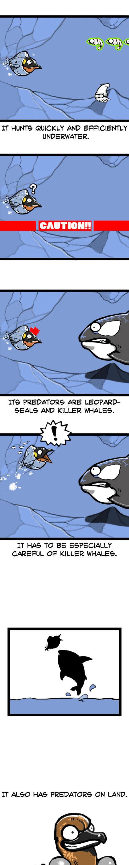 Earth, Human, and Animal Chapter 7 page 5 - Chapter 7 : Friends of the Emperor Penguin