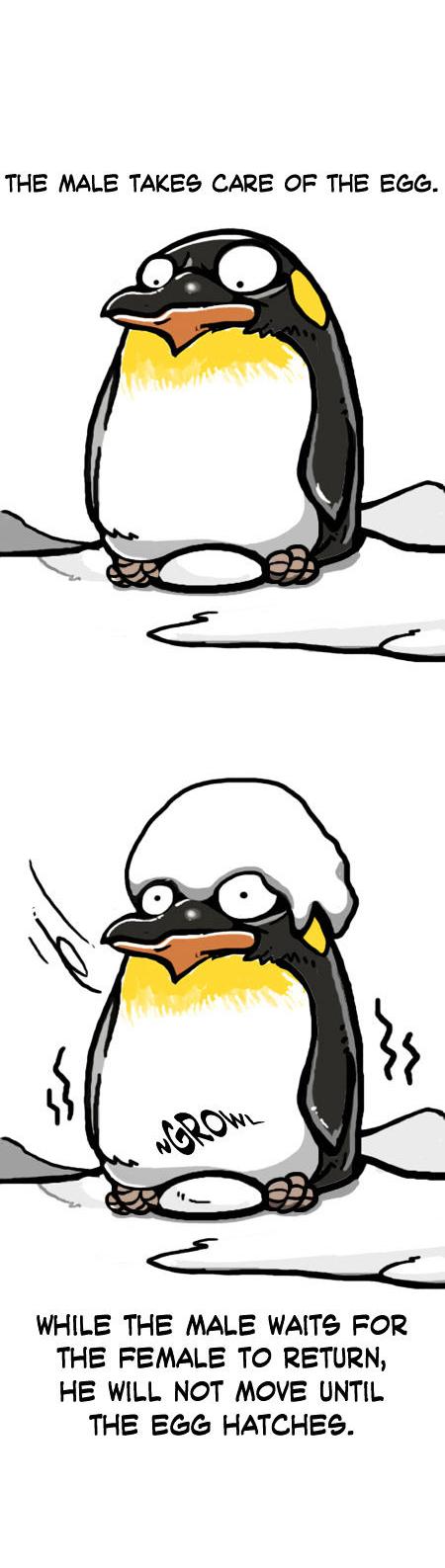 Earth, Human, and Animal Chapter 7 page 8 - Chapter 7 : Friends of the Emperor Penguin