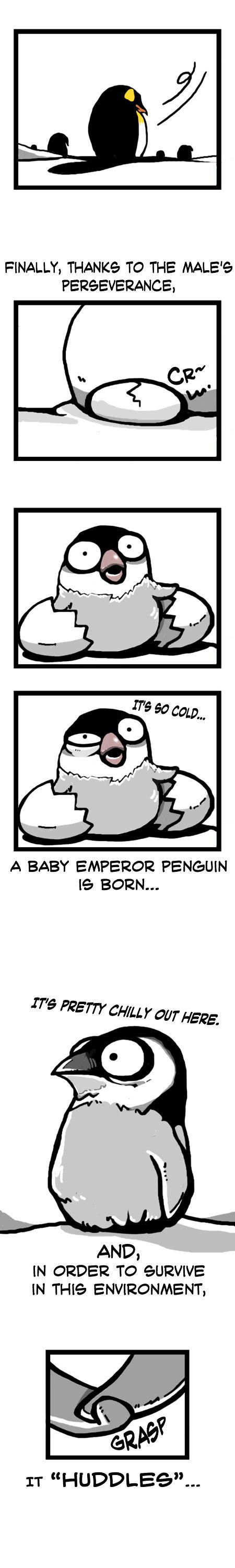 Earth, Human, and Animal Chapter 7 page 9 - Chapter 7 : Friends of the Emperor Penguin