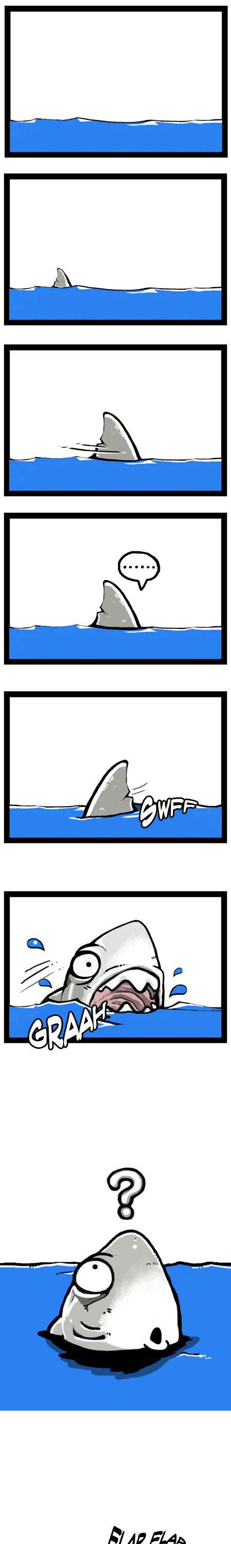 Earth, Human, and Animal Chapter 8 page 1 - Chapter 8 : the Great White Shark,an Apex Predator