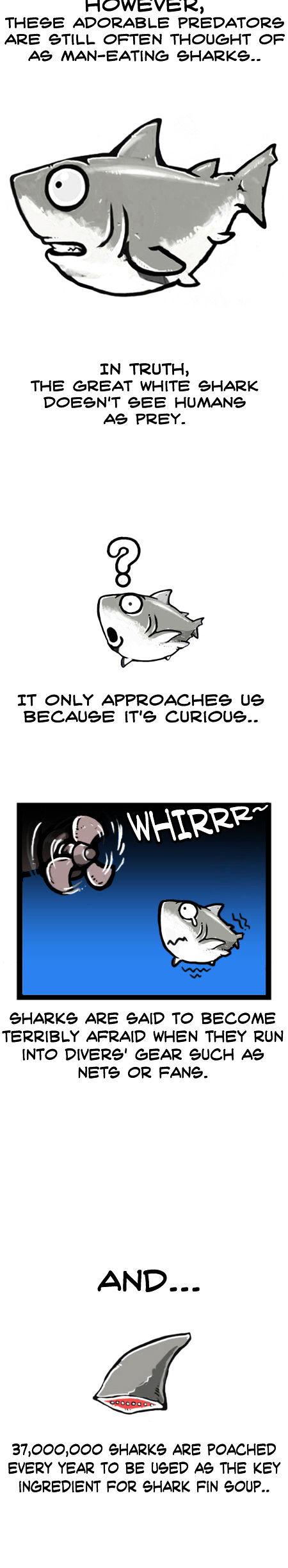 Earth, Human, and Animal Chapter 8 page 10 - Chapter 8 : the Great White Shark,an Apex Predator