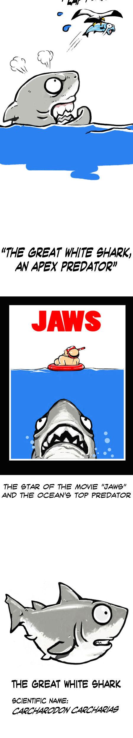 Earth, Human, and Animal Chapter 8 page 2 - Chapter 8 : the Great White Shark,an Apex Predator