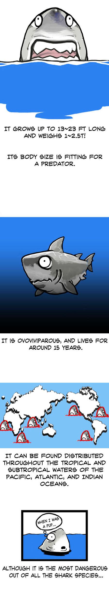 Earth, Human, and Animal Chapter 8 page 3 - Chapter 8 : the Great White Shark,an Apex Predator