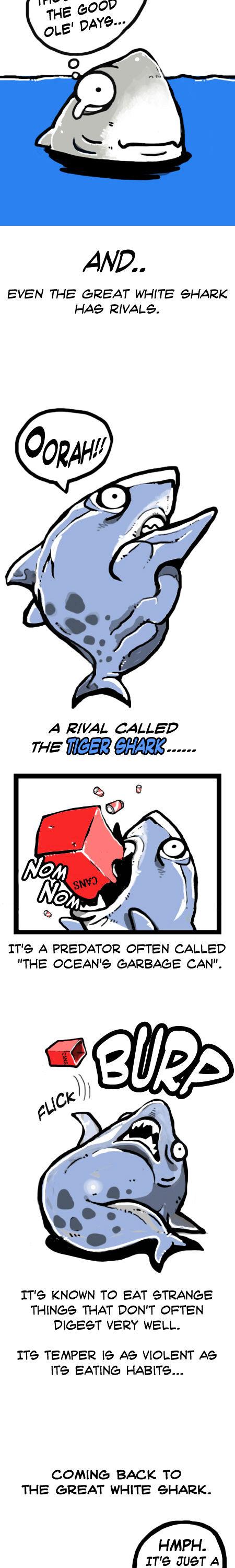 Earth, Human, and Animal Chapter 8 page 5 - Chapter 8 : the Great White Shark,an Apex Predator