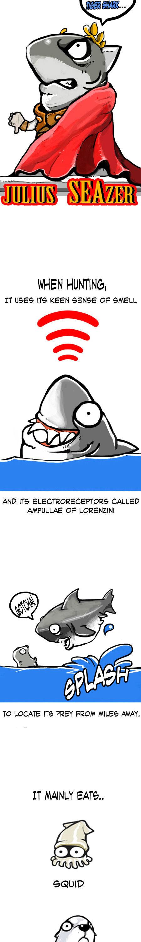 Earth, Human, and Animal Chapter 8 page 6 - Chapter 8 : the Great White Shark,an Apex Predator