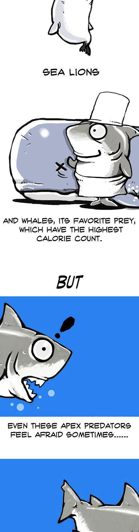 Earth, Human, and Animal Chapter 8 page 7 - Chapter 8 : the Great White Shark,an Apex Predator