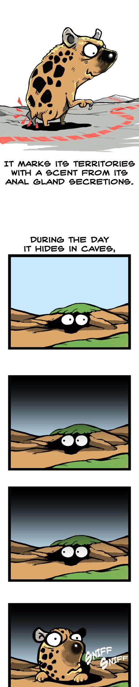 Earth, Human, and Animal Chapter 9 page 3 - Chapter 9 : the Spotted Hyena's Talent