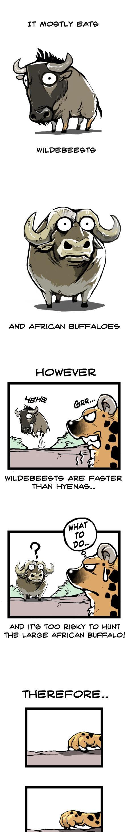 Earth, Human, and Animal Chapter 9 page 5 - Chapter 9 : the Spotted Hyena's Talent