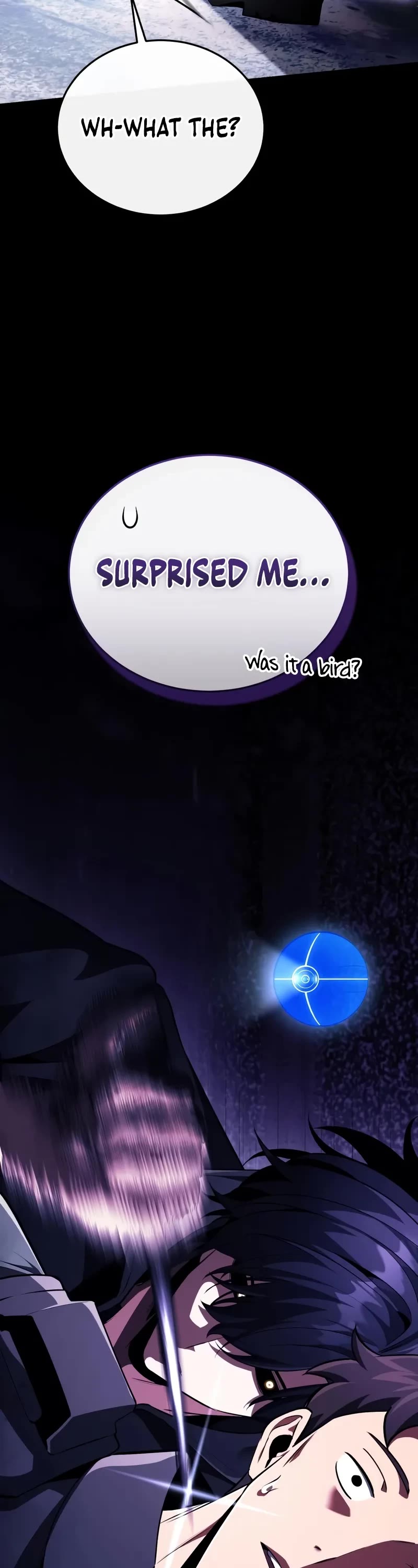 Echoes of the Reverse Planet Chapter 11 page 13 - Chapter 11