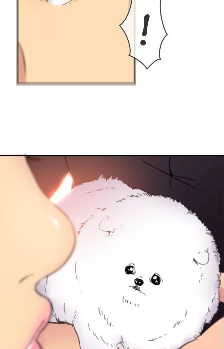 Ecstasy Hearts Chapter 26 page 20 - Chapter 26: Unparalleled Beauty definition