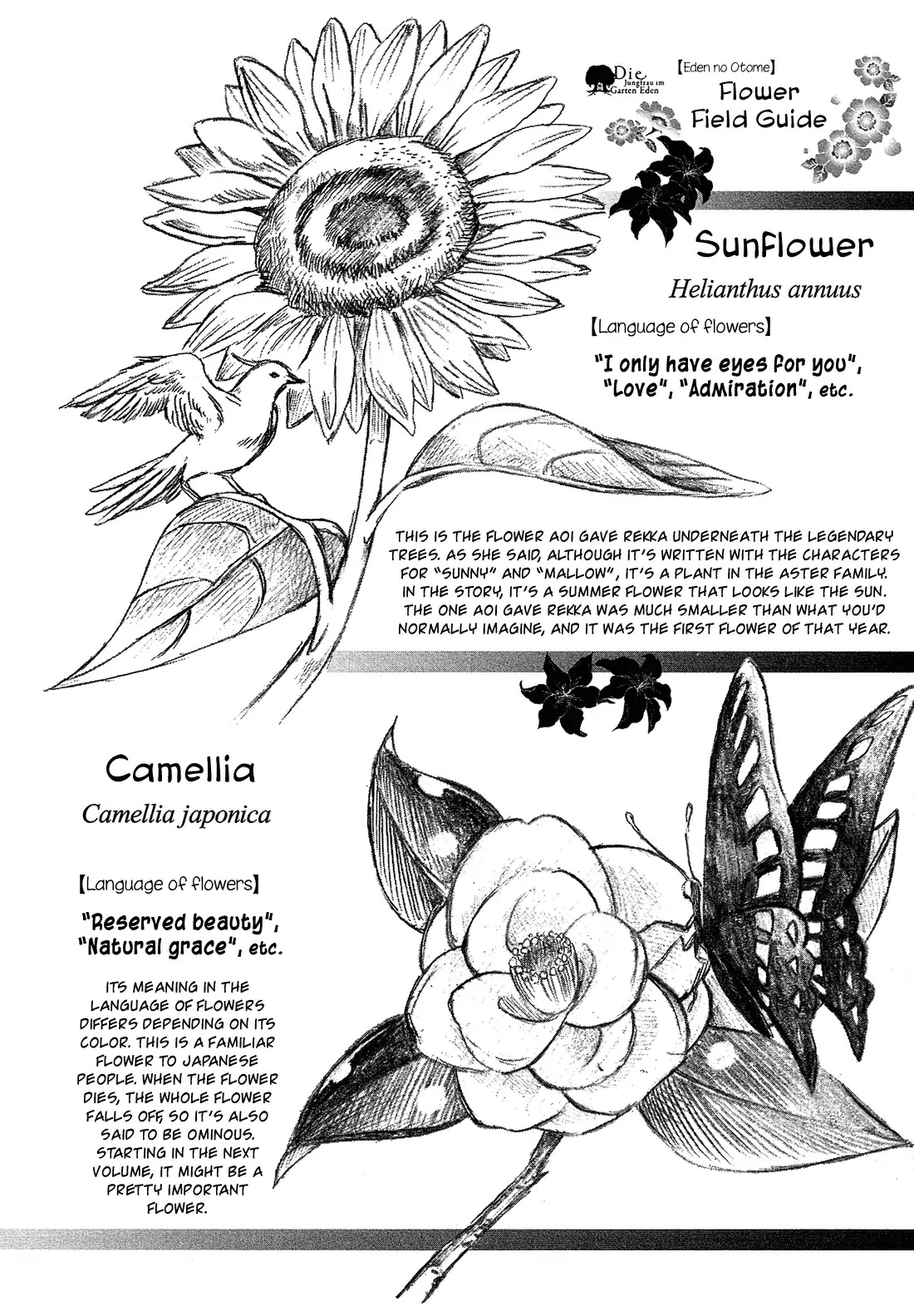 Eden no Otome Chapter 14 page 33 - Chapter 14: Summer Breeze