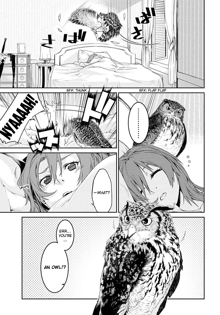 Eiyuu Kyoushitsu - Honoo no Jotei Chapter 1 page 4 - Chapter 1: Transfer Student